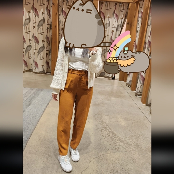 Aritzia Babaton Carrot Pant in Rich Chestnut size 0 tall - Picture 7 of 7